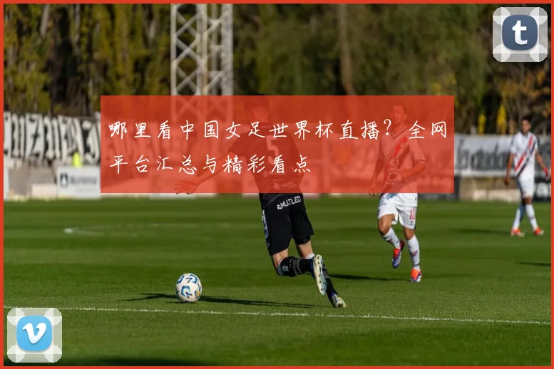 哪里看中国女足世界杯直播？全网平台汇总与精彩看点