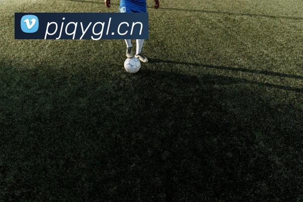 大阳城集团娱乐传媒APP 封面图